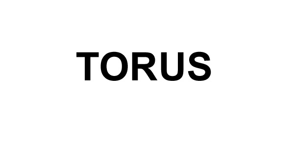 TORUS